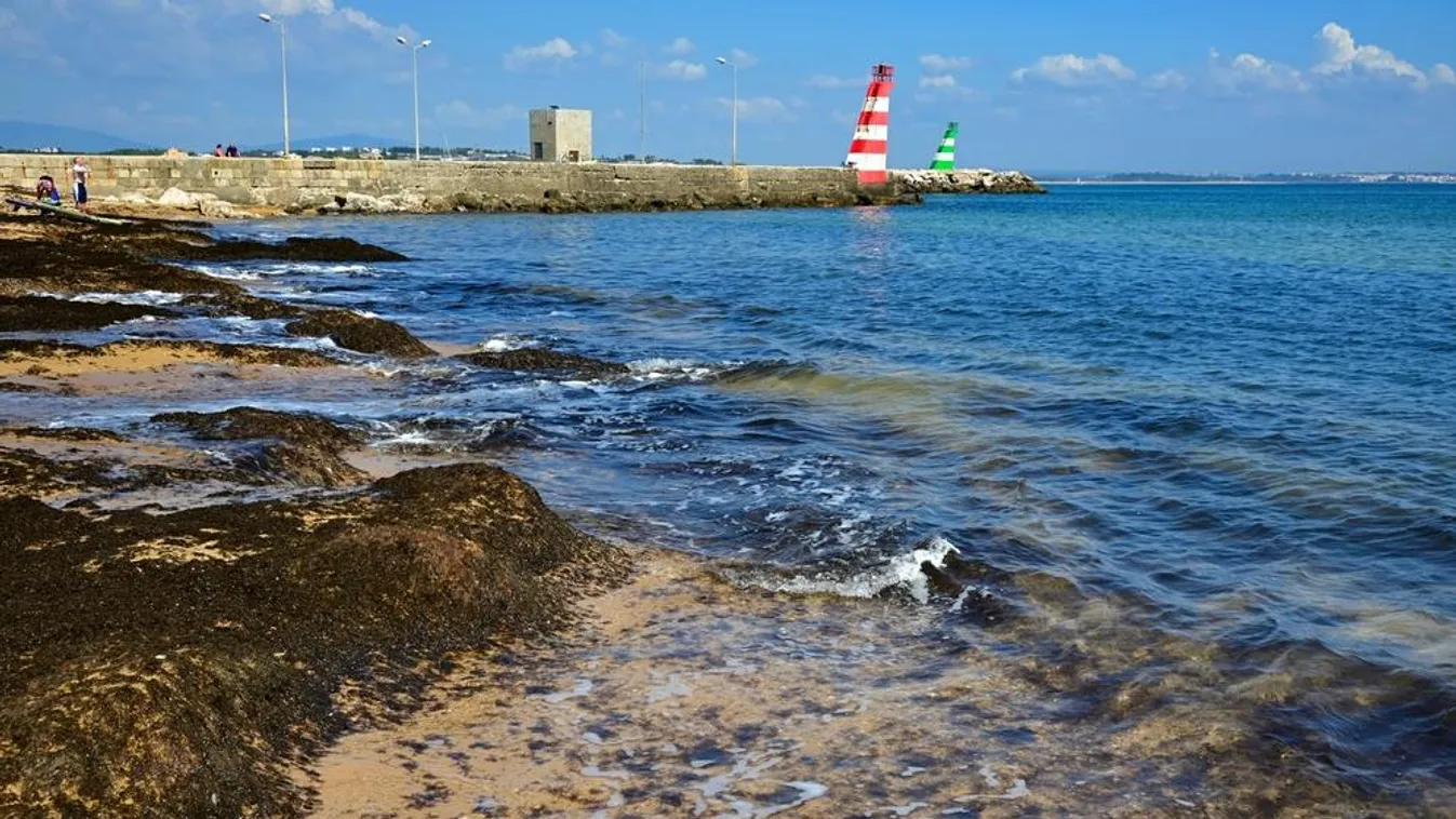 Spanyolország legszebb strandjait elárasztotta a rettenet: figyelmeztetést adtak ki a turistáknak