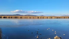 Ötletek a Velencei-tó környékének téli felfedezéséhez - Pákozdtól és Sukorótól Nadapig