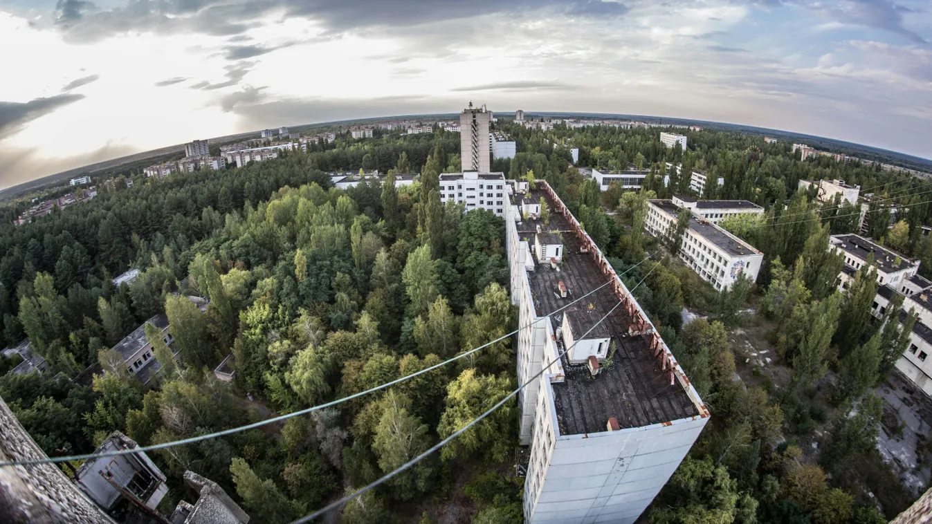 Mindenkit megdöbbentett, amit a tudósok a Csernobili atomerőműnél találtak