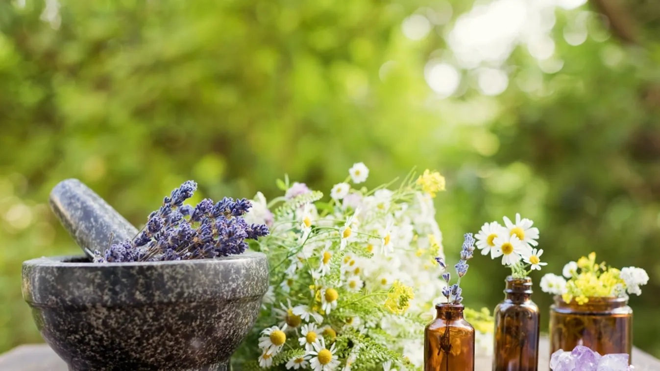 Homeopátia a modern varázslat?