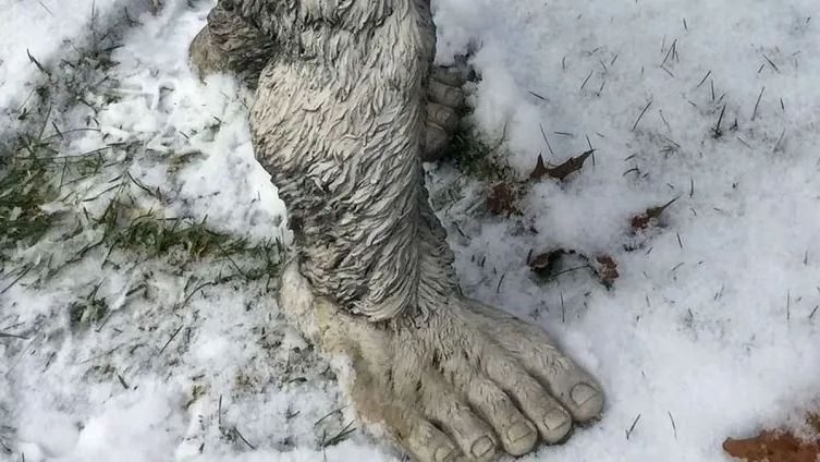 Nagylábú 