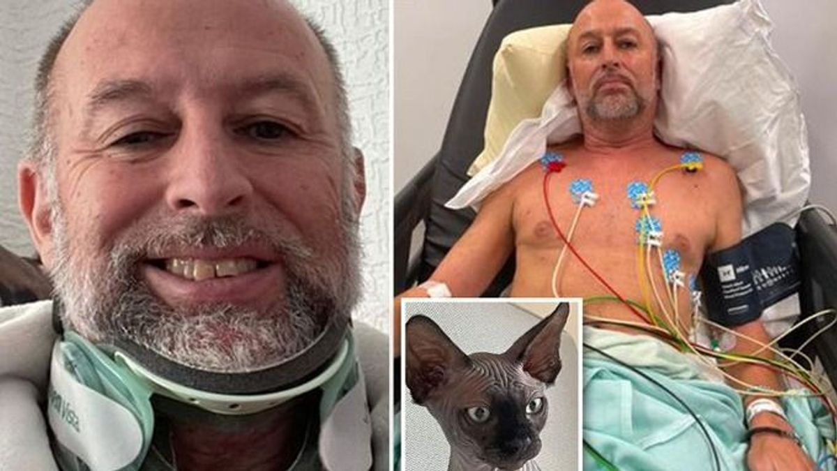 „Csoda, hogy élek: olyan sérüléseket szenvedtem, mint akin áthajtott egy autó, miután megbotlottam a macskámban”