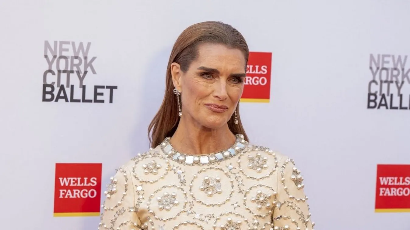 Napvilágra került a szívszorító igazság: Brooke Shields ezért nem szült gyereket André Agassinak