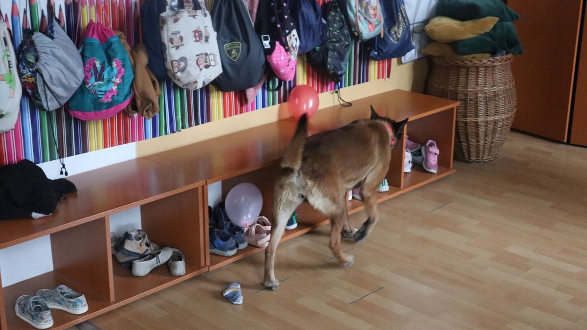 "Bomba fog robbanni" - Rendkívüli bejelentés, újabb iskolát fenyegettek meg