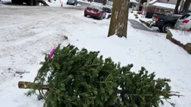 Vízkereszt ünnepe - Miért kell január 6-án leszedni a karácsonyfát, és mit ünneplünk ilyenkor?