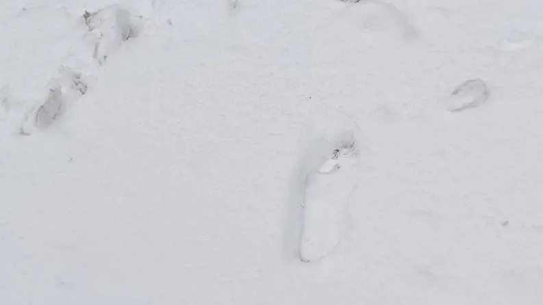 Jeti, Nagyláb, Nagylábú, Big Foot, Csobánka, Szentendre, Pest vármegye, telek, hó, lábnyom, nyom, rejtély, 