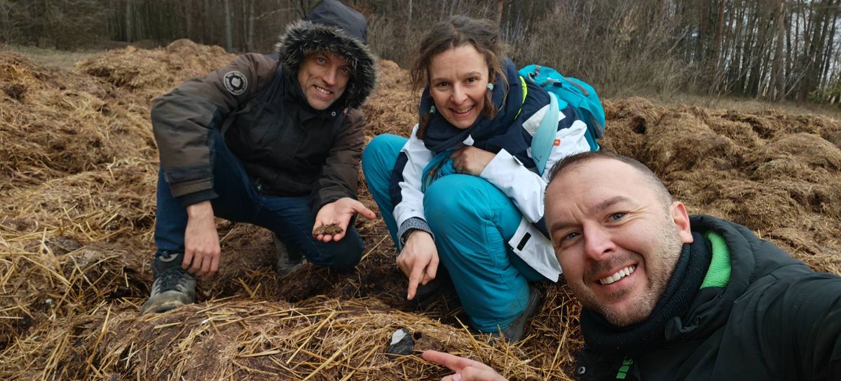 meteoritkő