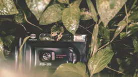 A szakemberek is összerezzentek attól, amit a vadkamera az erdőben rögzített