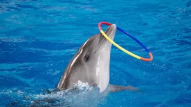 Újabb értelmetlen és sokkoló haláleset történt a hírhedt üdülőhelyen