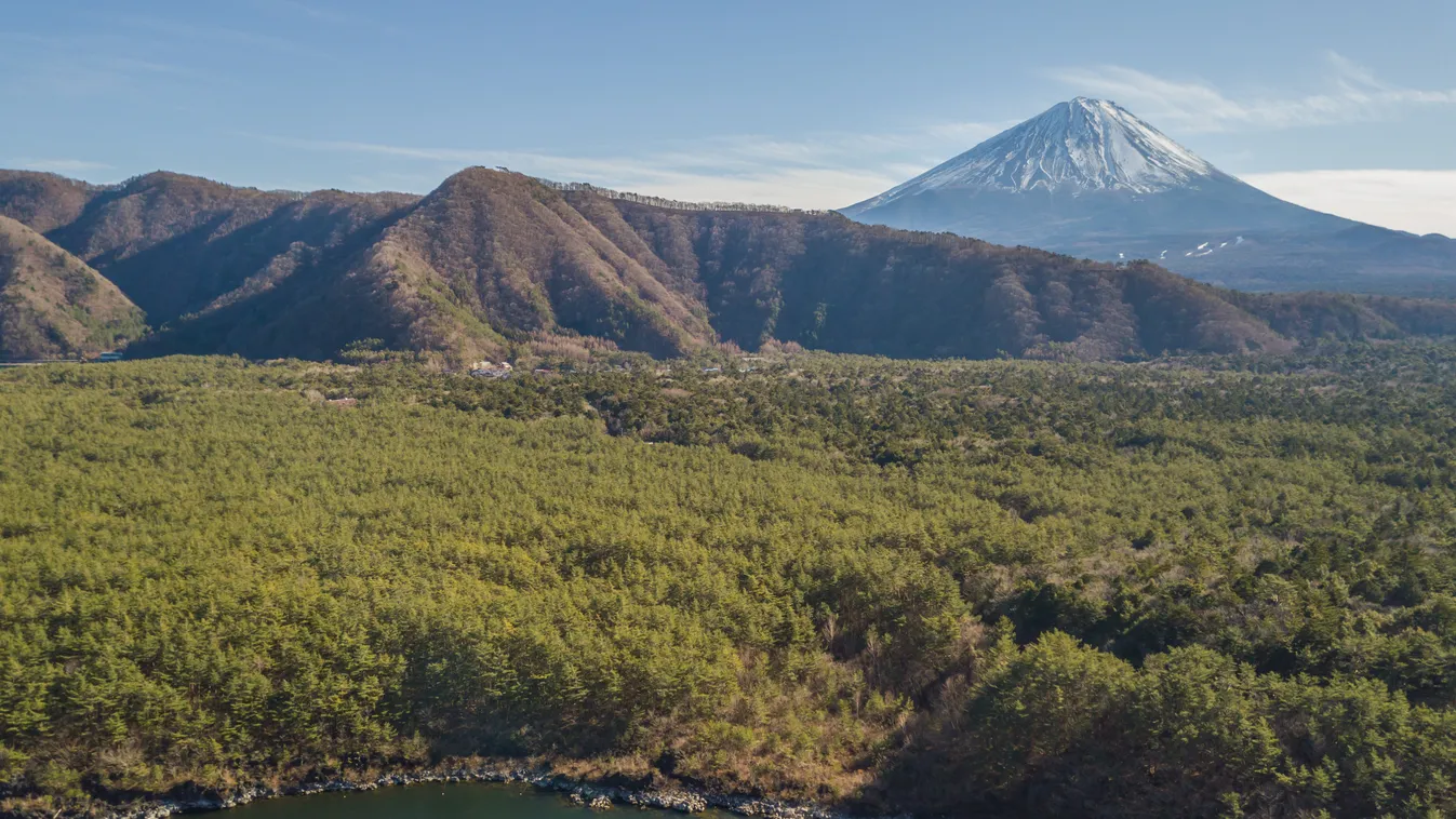 Ahová az öngyilkosok utolsó útja vezet – A kísérteties japán Aokigahara erdő titkai