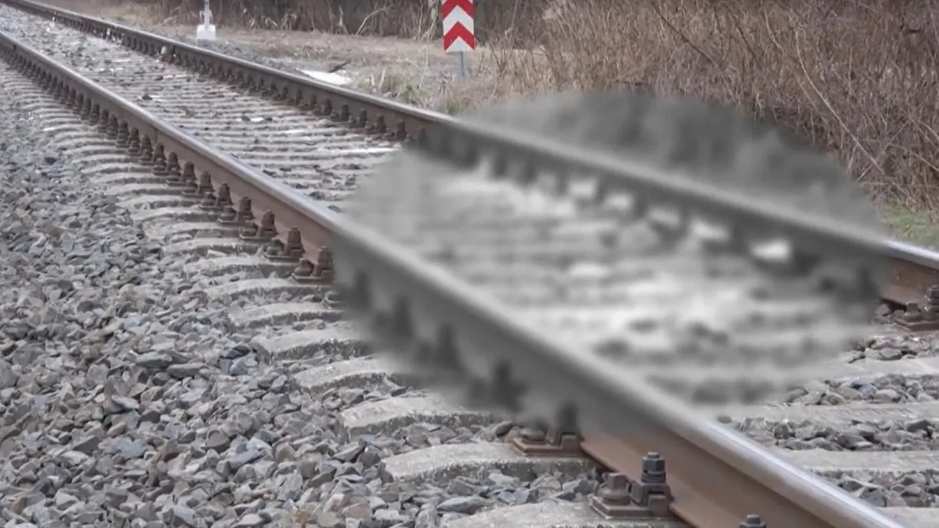 „Minél hamarabb pszichoterápiás ellátásra lesz szüksége” – a 8 éves kislány végignézhette, ahogy édesanyja 3 éves húgával a vonat elé lépett Győrnél – videó