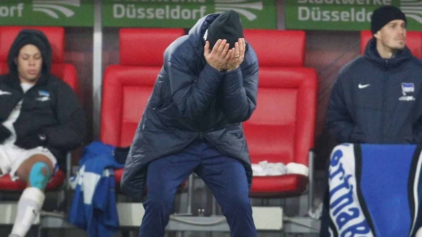 Nagy a baj Berlinben, újra Dárdai Pált emlegetik a Herthánál