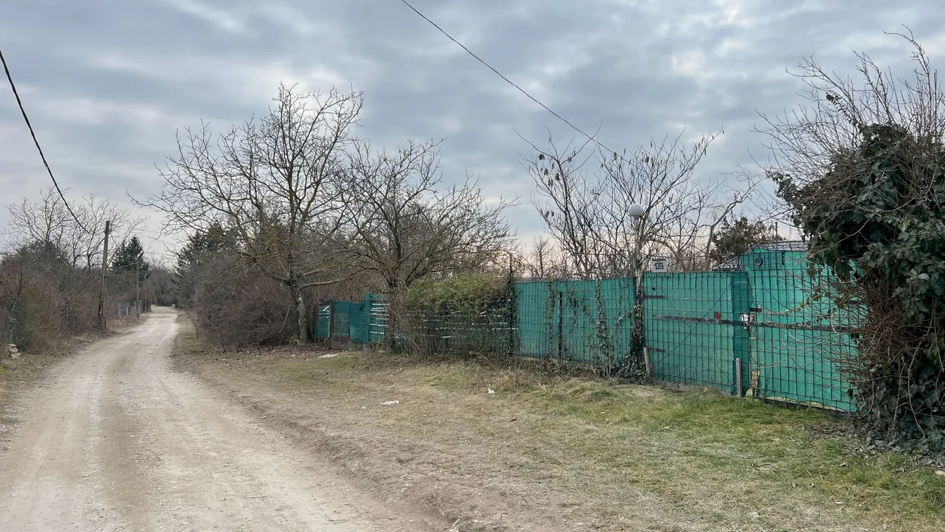 Halálos kutyatámadás Miskolc külterületén: "Csontig lerágták a nevelőapám karját"