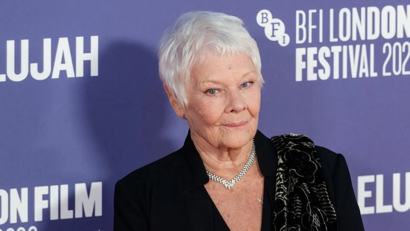 Már a mindennapokban is segítségre szorul, de így sem hajlandó feladni karrierjét Judi Dench