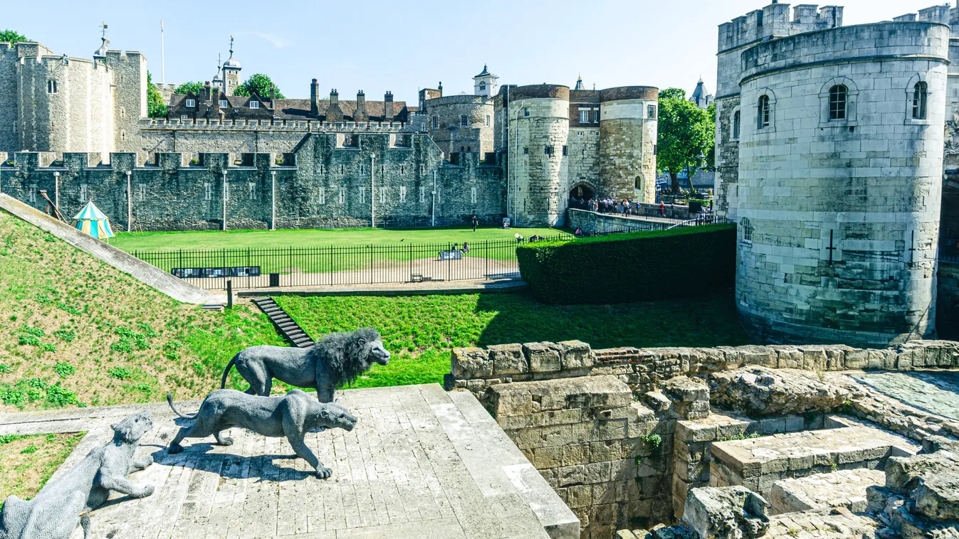 Most felfedjük a titkot, hogy miért volt egykor több száz vadállat a londoni Towerben