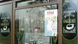 Nőnapi kvíz: csak a legintelligensebbek tudják a választ ezekre a kérdésekre