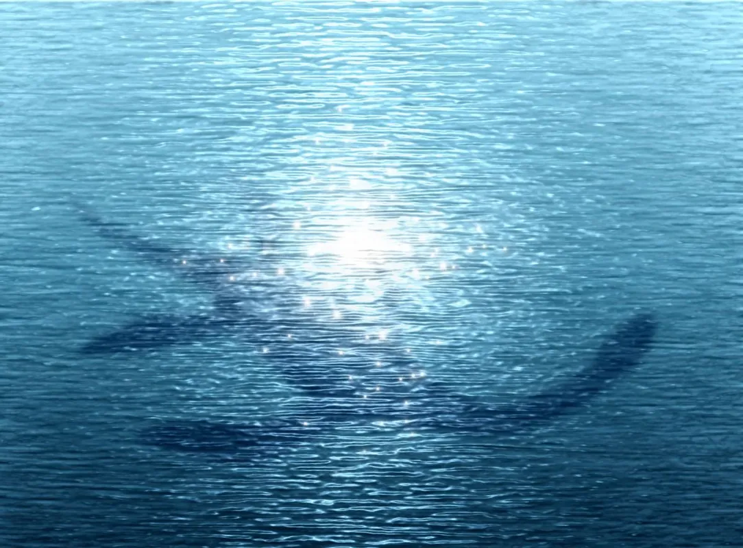 A Loch Ness-i szörny elköltözött? Nem semmi, ami Balaton vizében van! / 
