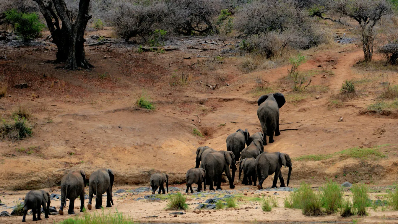A tanzániai gyerekeket tanítják a győri állatkert szakemberei - Ezzel próbálják megóvni Afrika állatvilágát