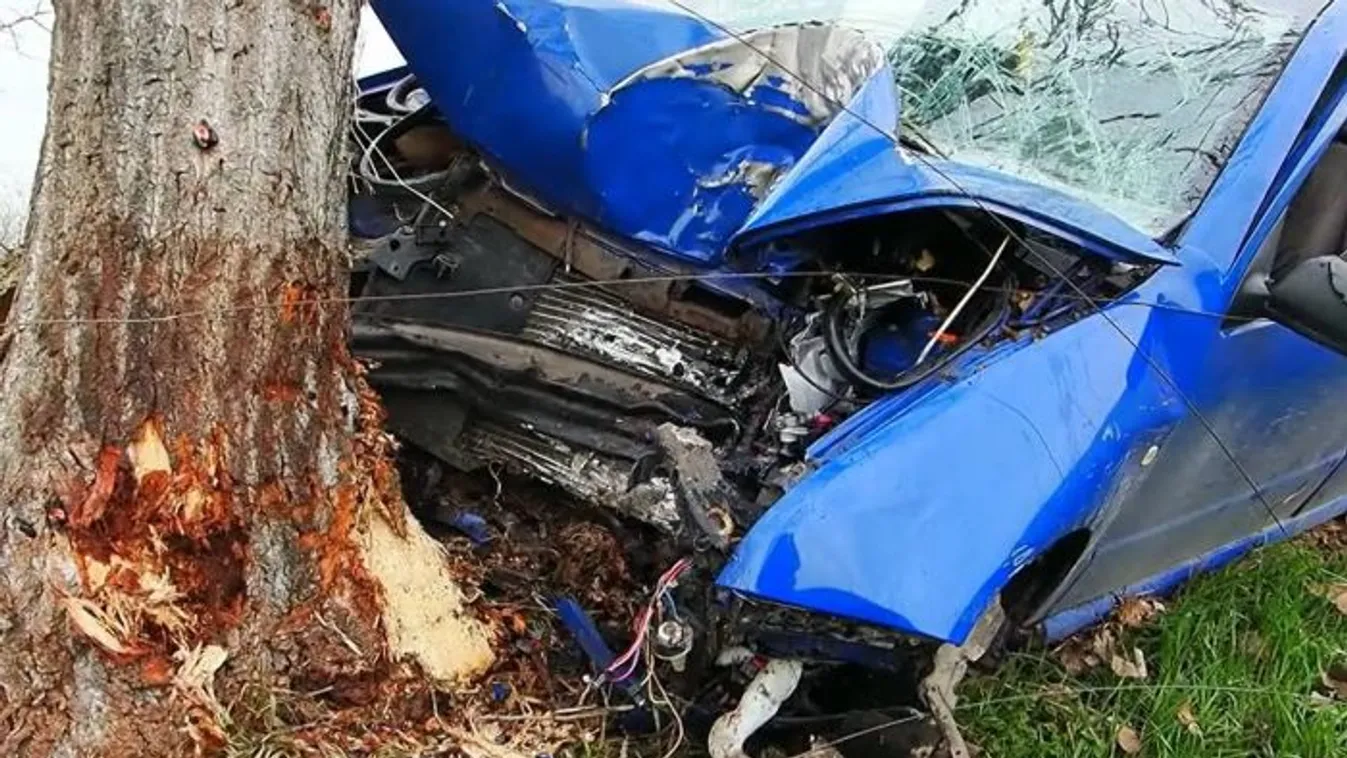 Őz miatt hajtott fának egy édesanya, hatéves kislánya élet és halál közt lebeg
