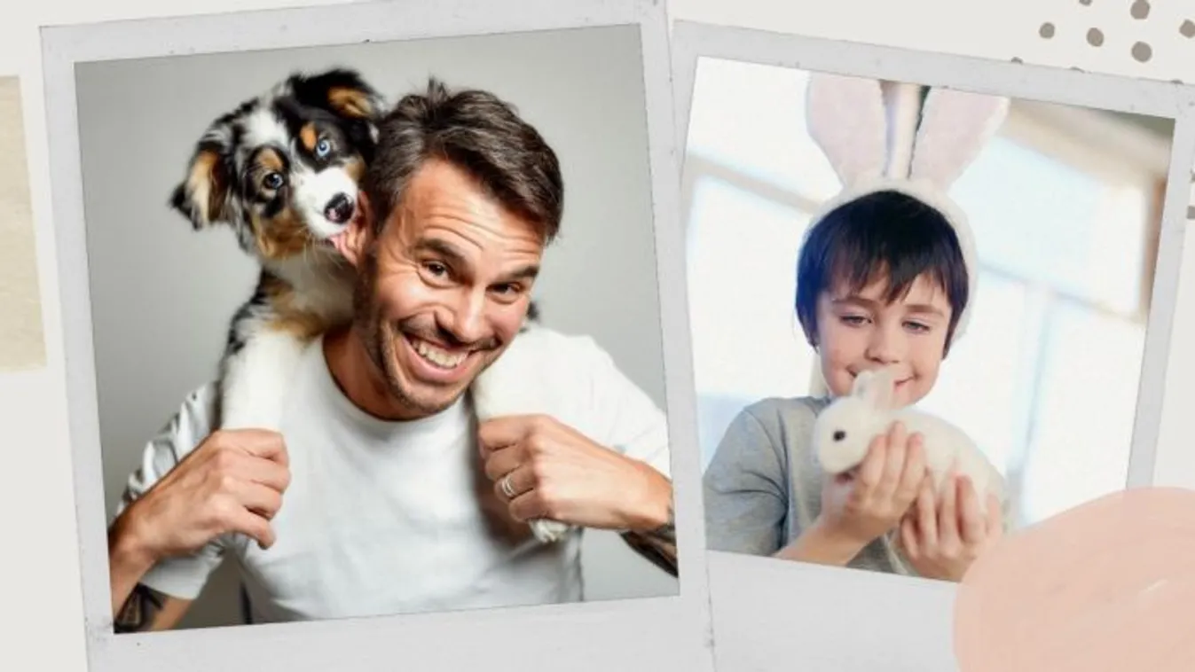 Hoppá: Újra indul a Kedvencverseny!