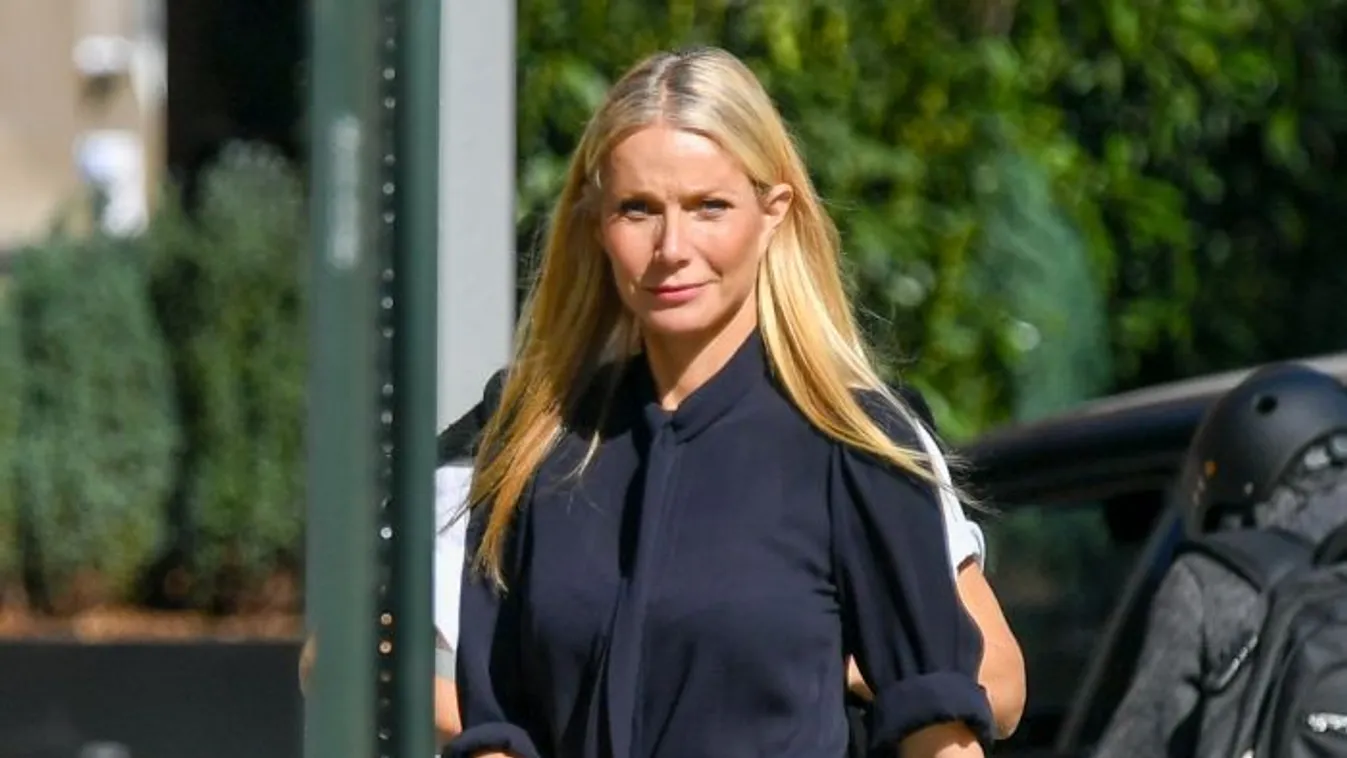 Gwyneth Paltrow és Timothée Chalamet találkozása vad szexbe torkollott