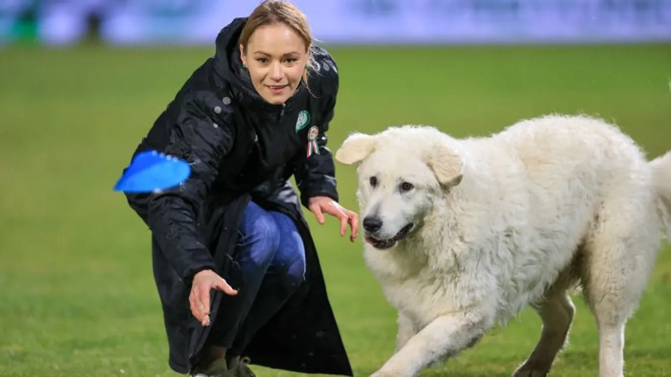 Csodálatos kuvasz segíti a bajnoki cím felé a Paks futballistáit