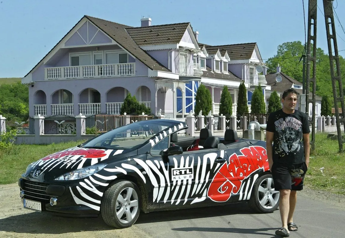 Győzike és a zebra minta 