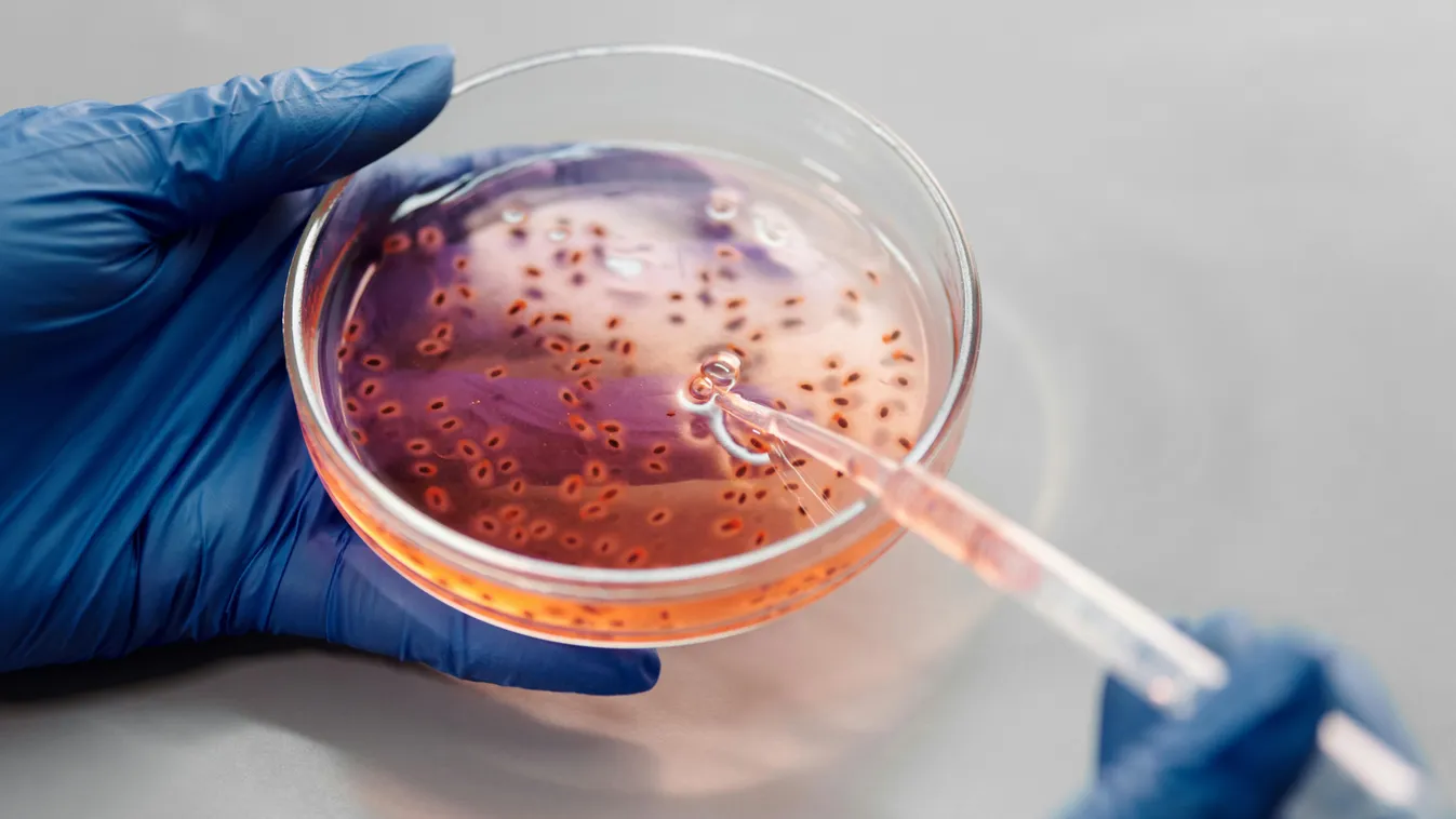 Így áll most az influenza járvány-helyzet: megdöbbentők az új adatok!