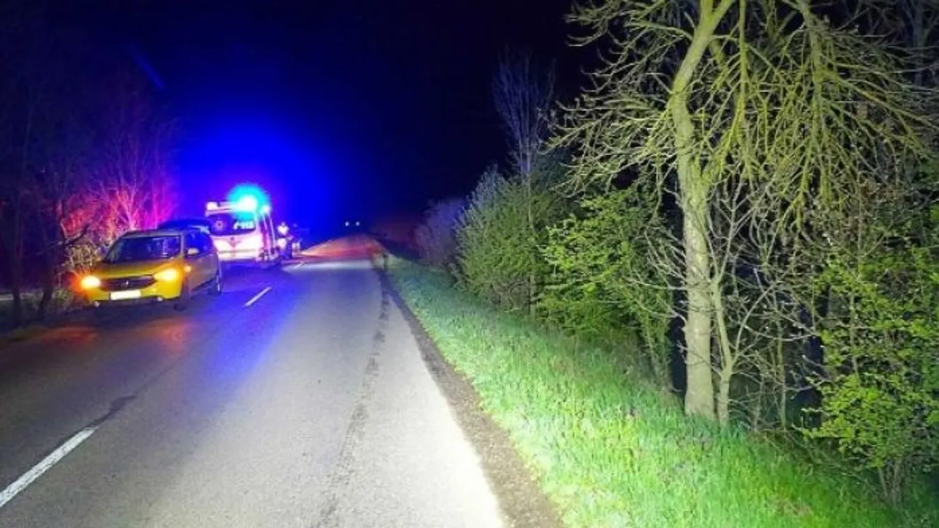 Mindszenti horror: vadnak hitte a halálra gázolt nyugdíjast a sofőr