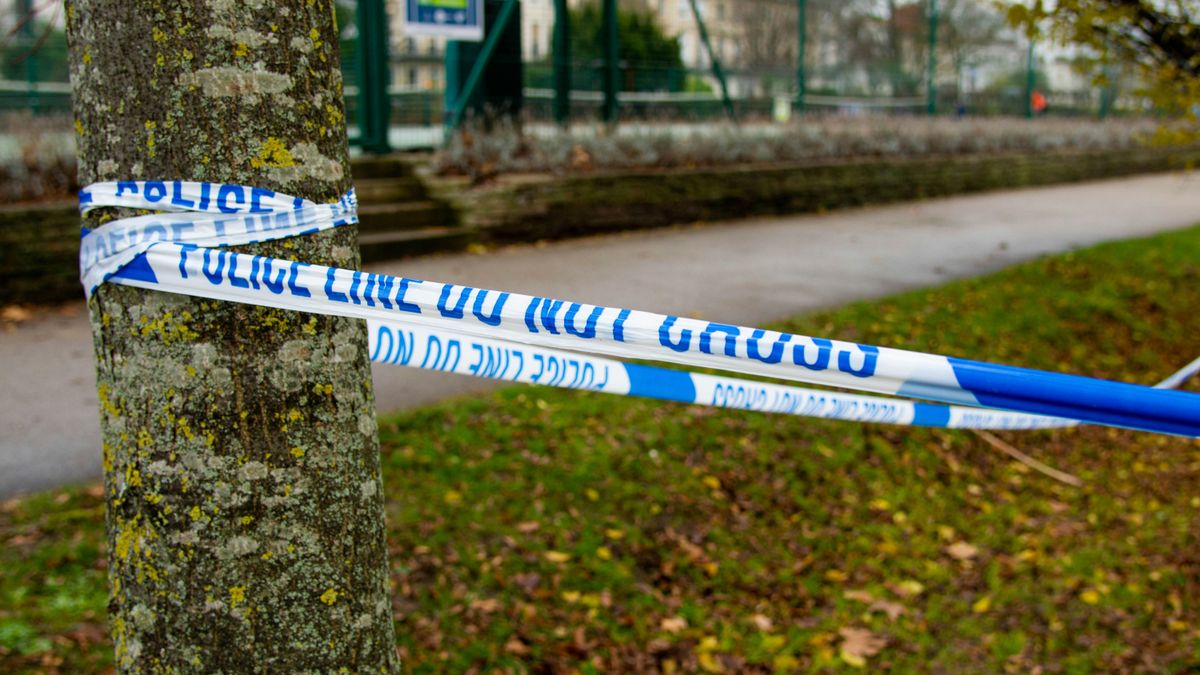 Emberi csontváz maradványokra bukkantak a ligetben