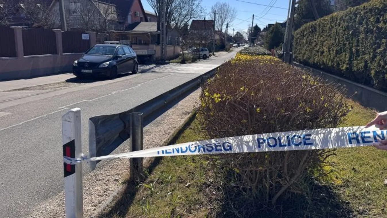 Pestszentlőrinci gyilkosság: így végzett a nappaliban Zoltánnal fiatal gyilkosa