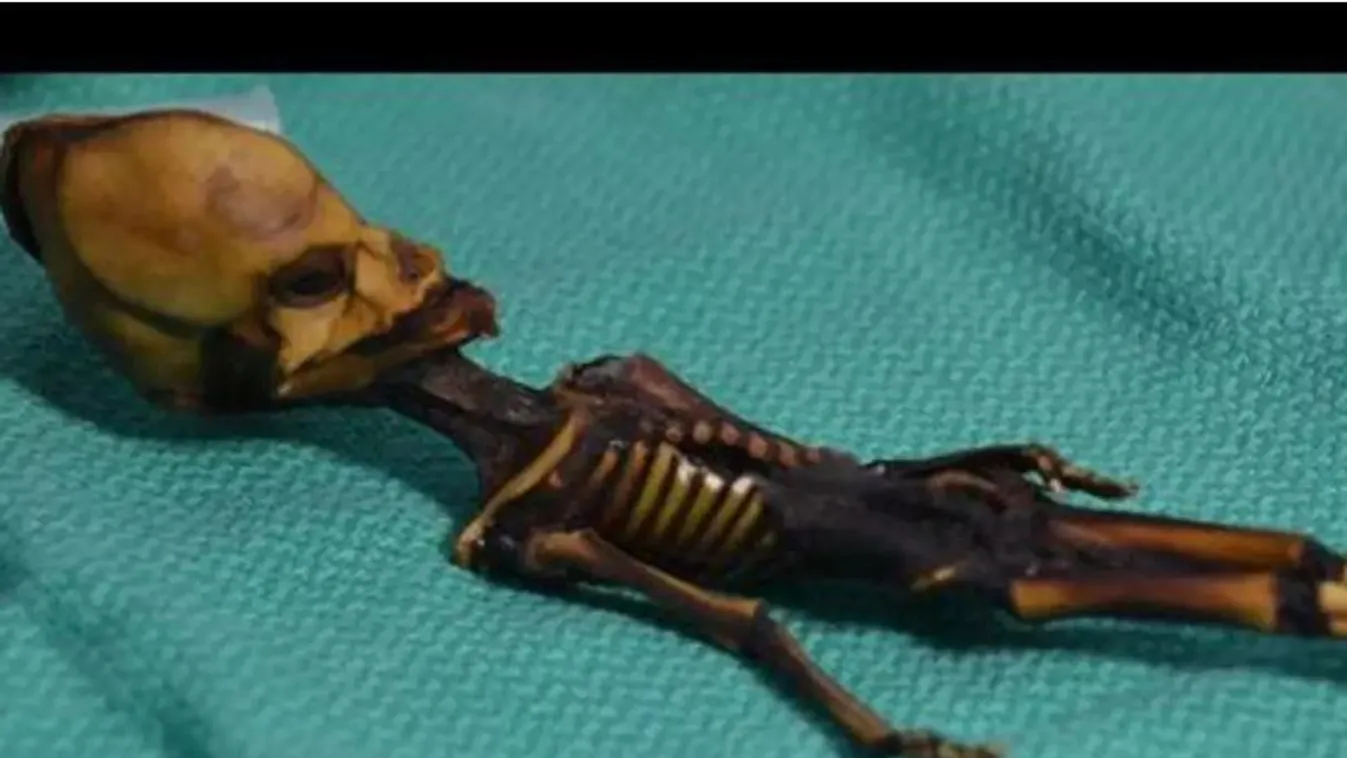 Nem hiszed el, mire jutottak a tudósok az UFO kinézetű 15 centis múmiával kapcsolatban!