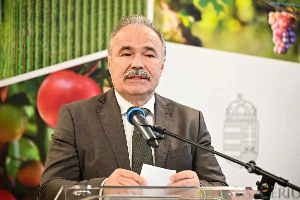 NAGY István