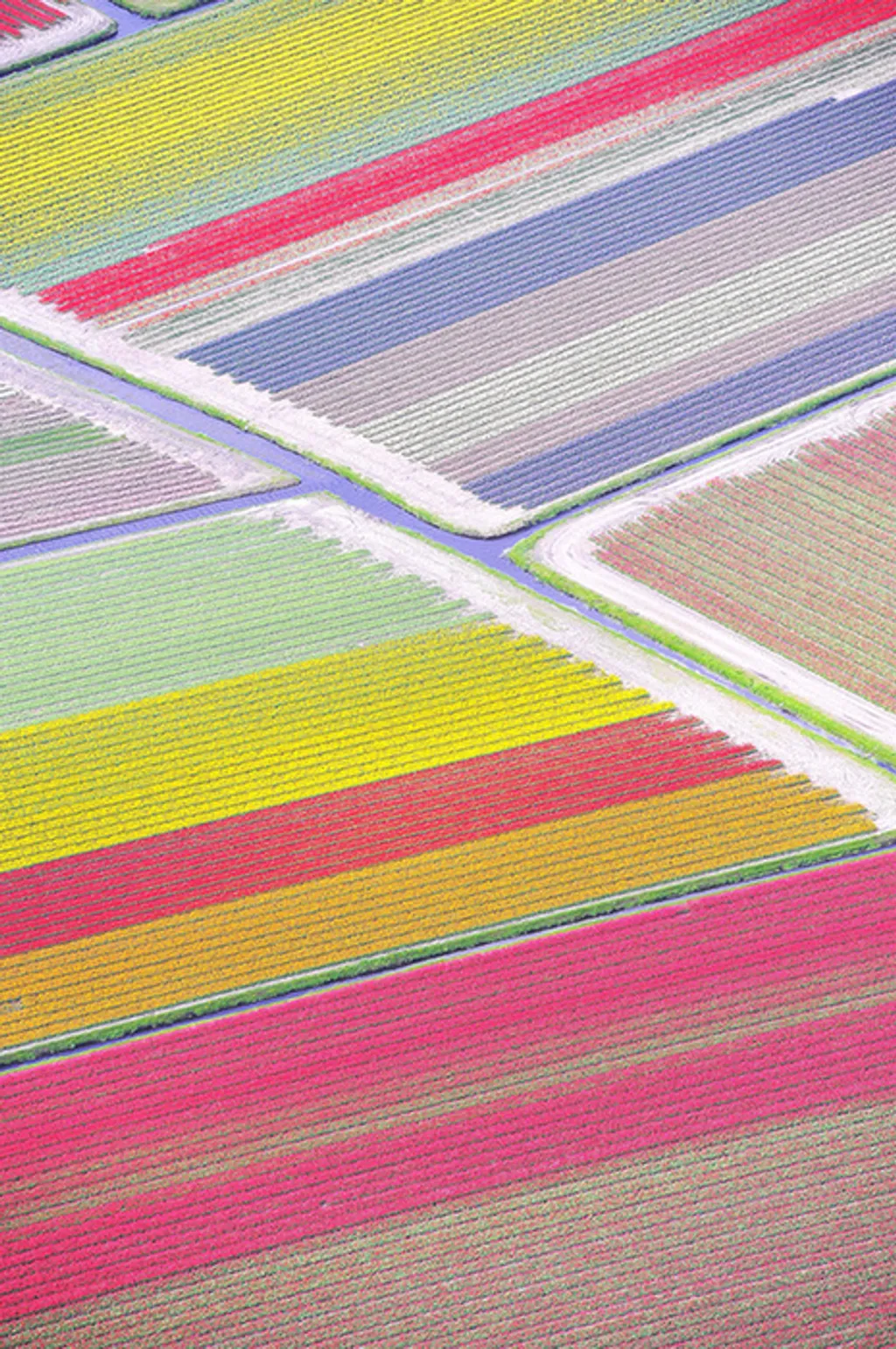 Fotó: Solent News Photo Agency / Northfoto 