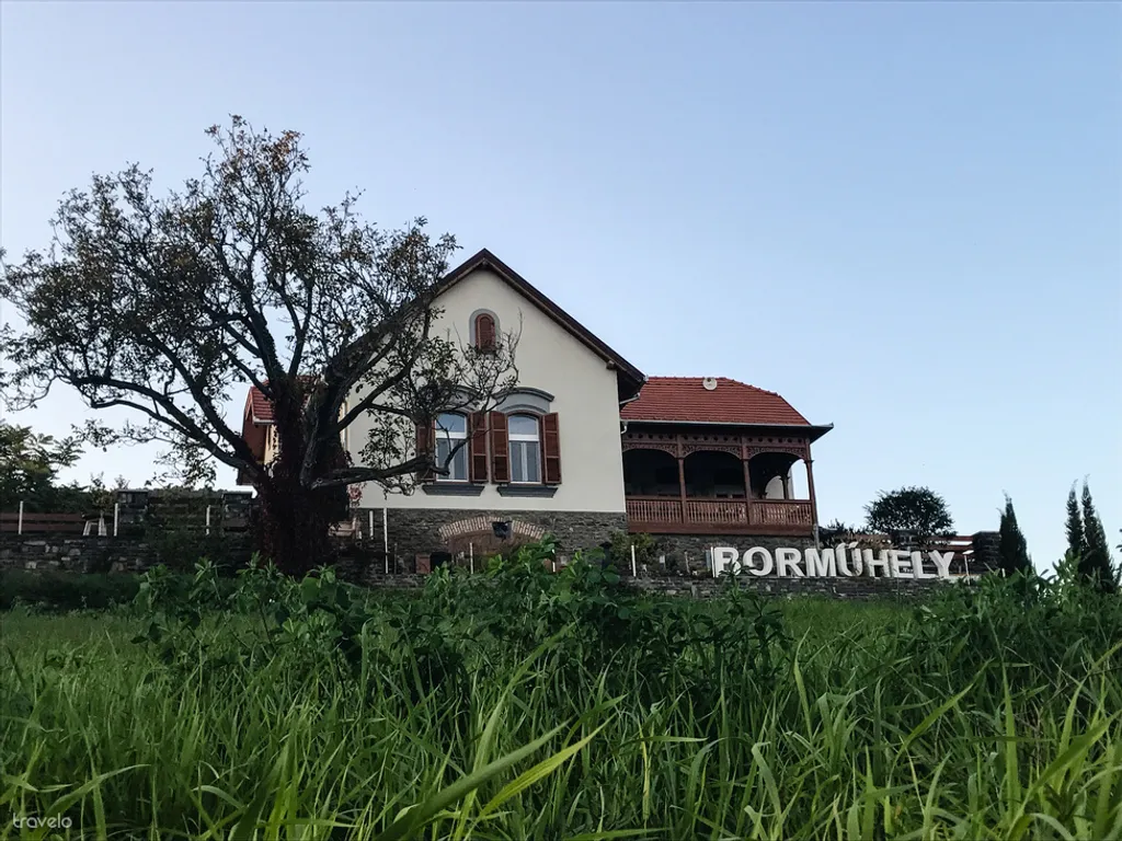 Fotó: Csikesz Mariann 