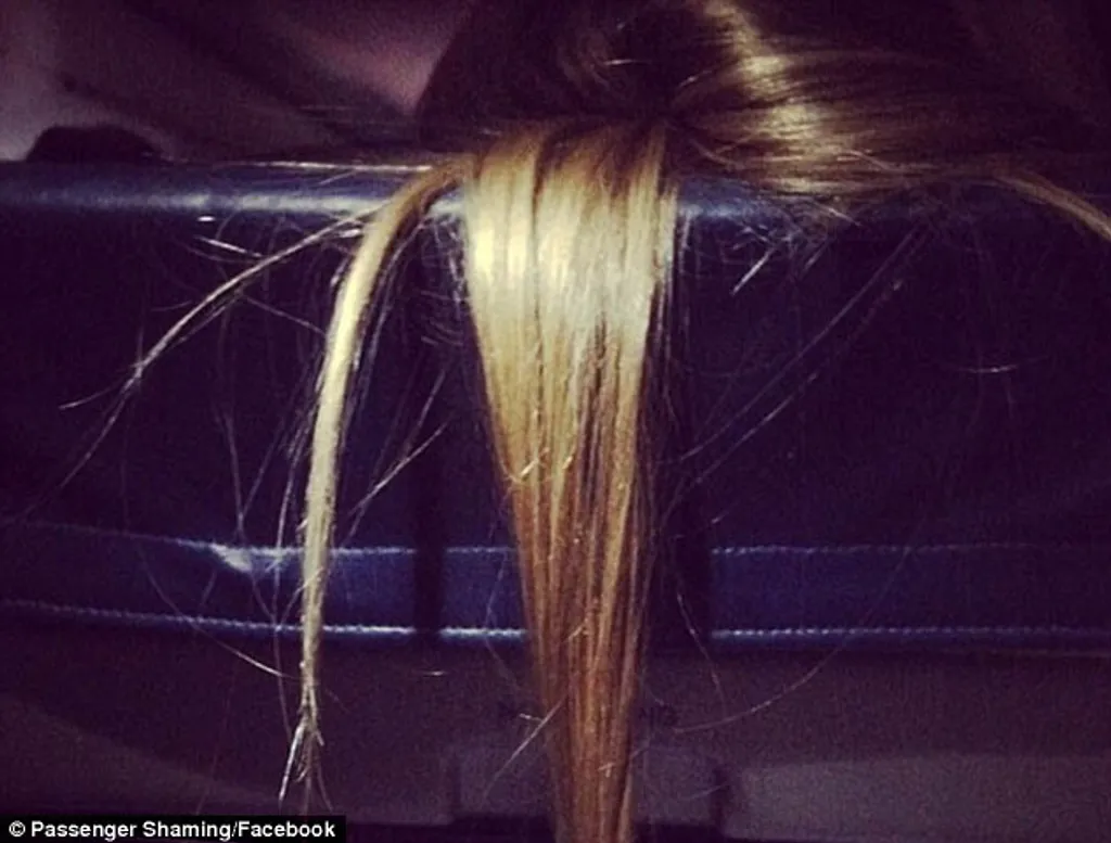 Fotó: Passenger Shaming 