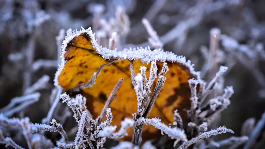 Képekben az elmúlt 24 óra - október 25.