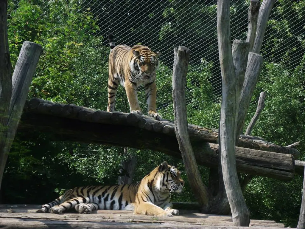 Zoo Vienna Schönbrunn 
