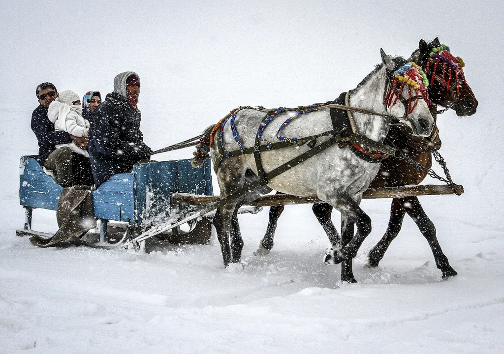 Fotó: Anadolu Agency / Europress / Getty 