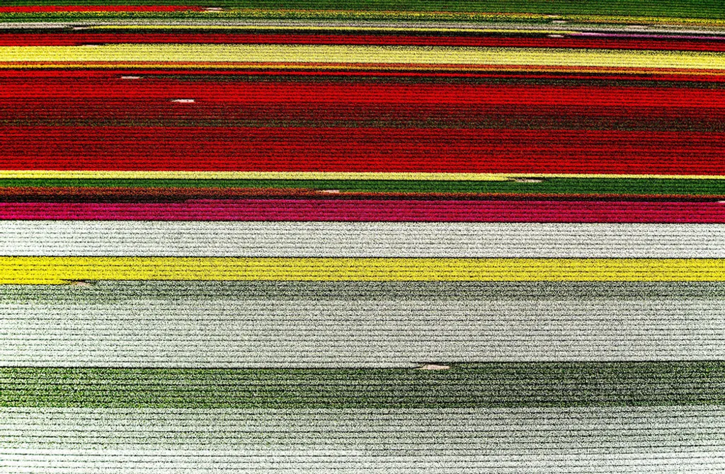 Fotó: Jerry Lampen / MTI / EPA 