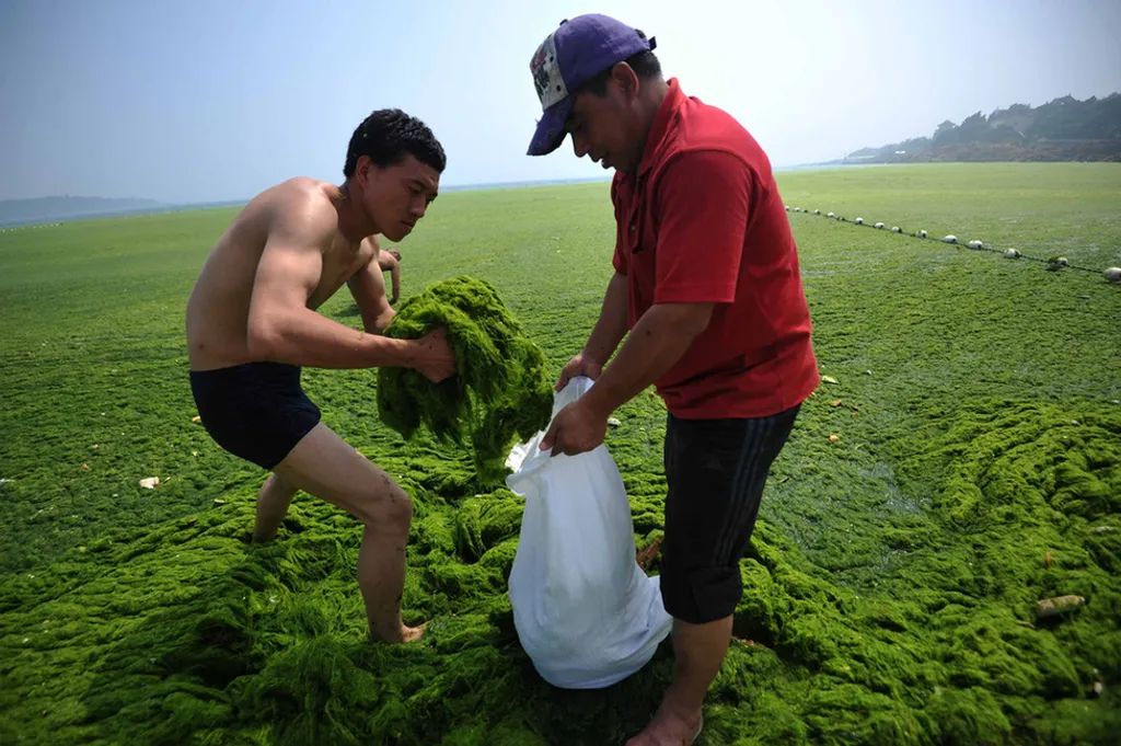China Foto Press / Barcroft Medi / Northfoto 