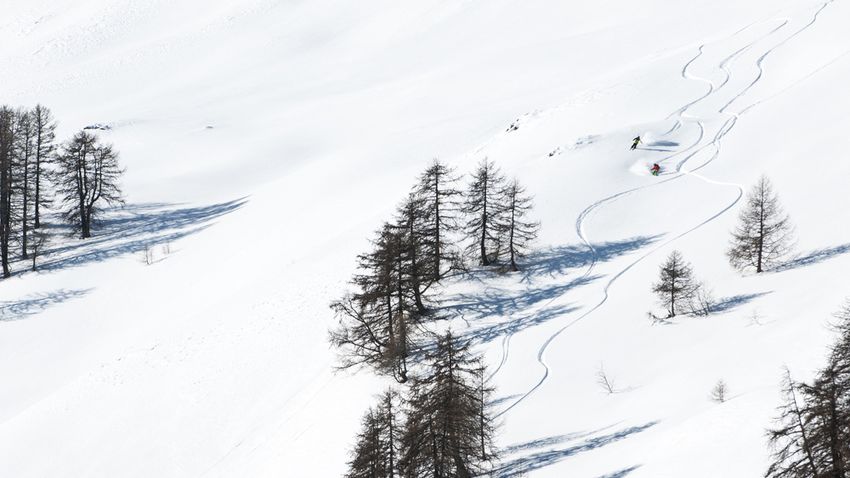 Freeride bajnokság