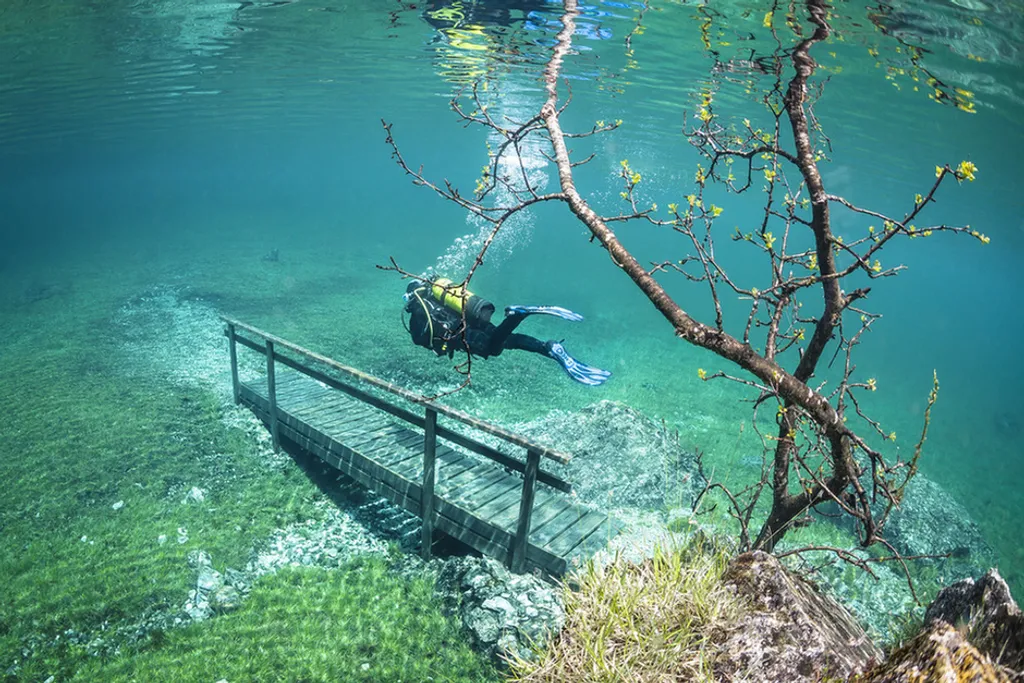 Fotó: Marc Henauer/solent News Photo Agency / Northfoto 
