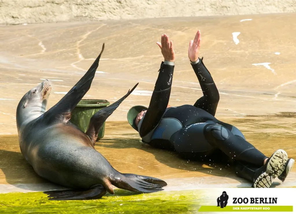 Zoo Berlin 