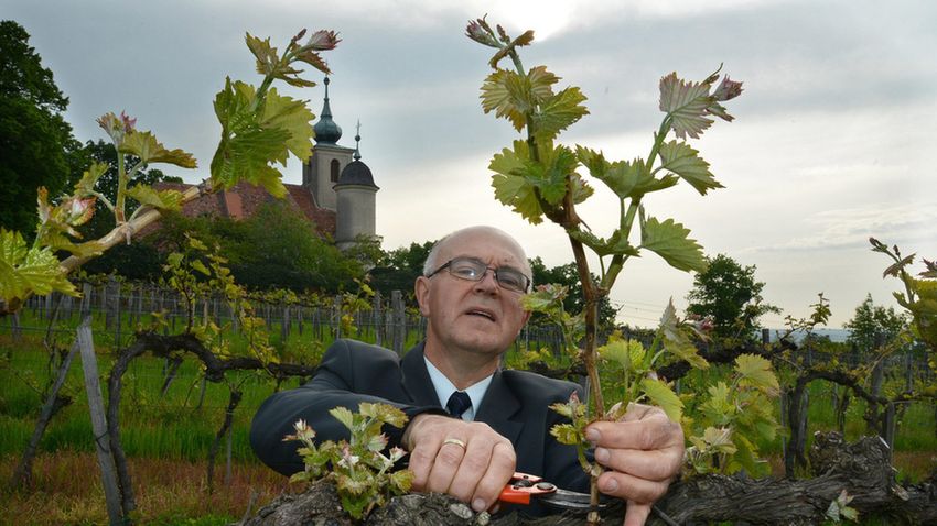 A kőszegi szőlőjövés