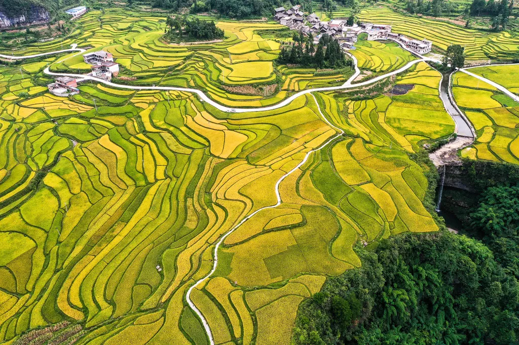 Forrás: Xinhua via AFP/Xinhua News Agency.All Rights Reserved/Yang Wenbin