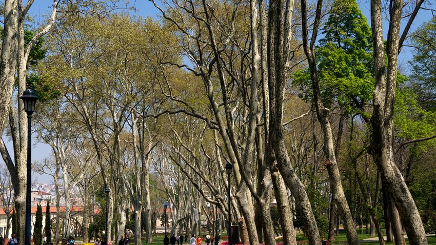 Talpraesett turista: Isztambul