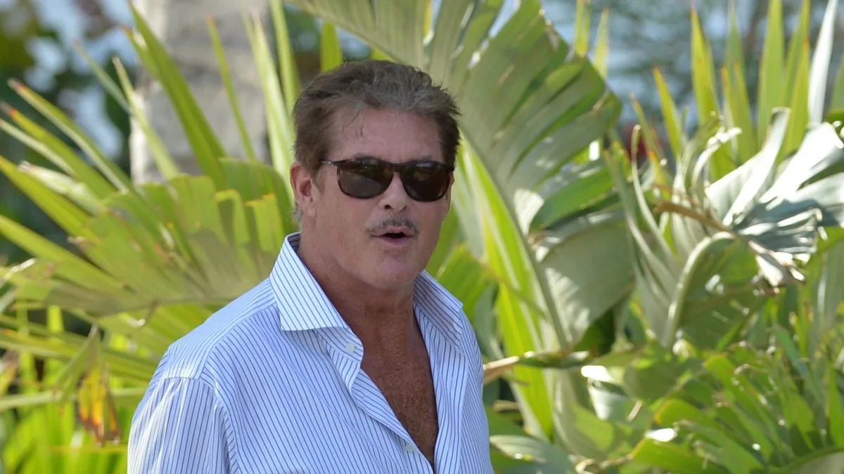David Hasselhoff sem a régi már.