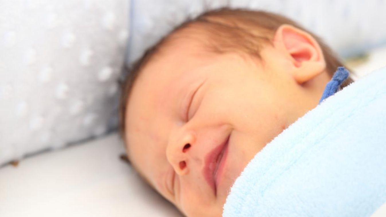 A jó baba olyan, mint egy vén disznó: böfög és fingik egész nap
