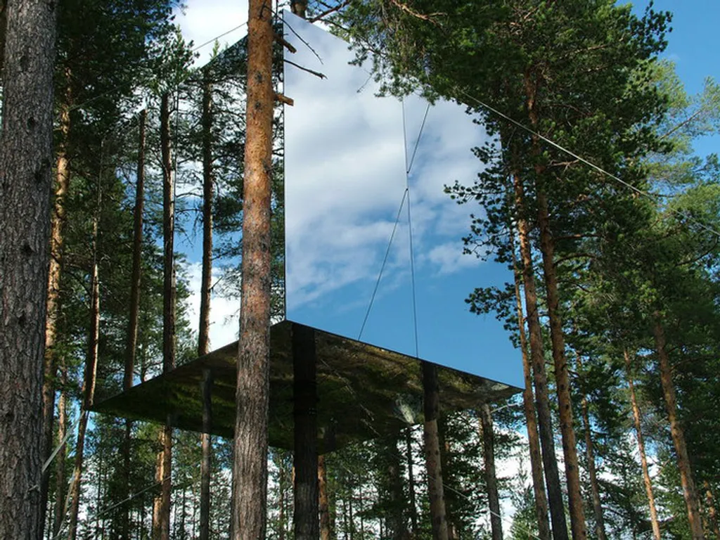 Fotó: Treehouse 
